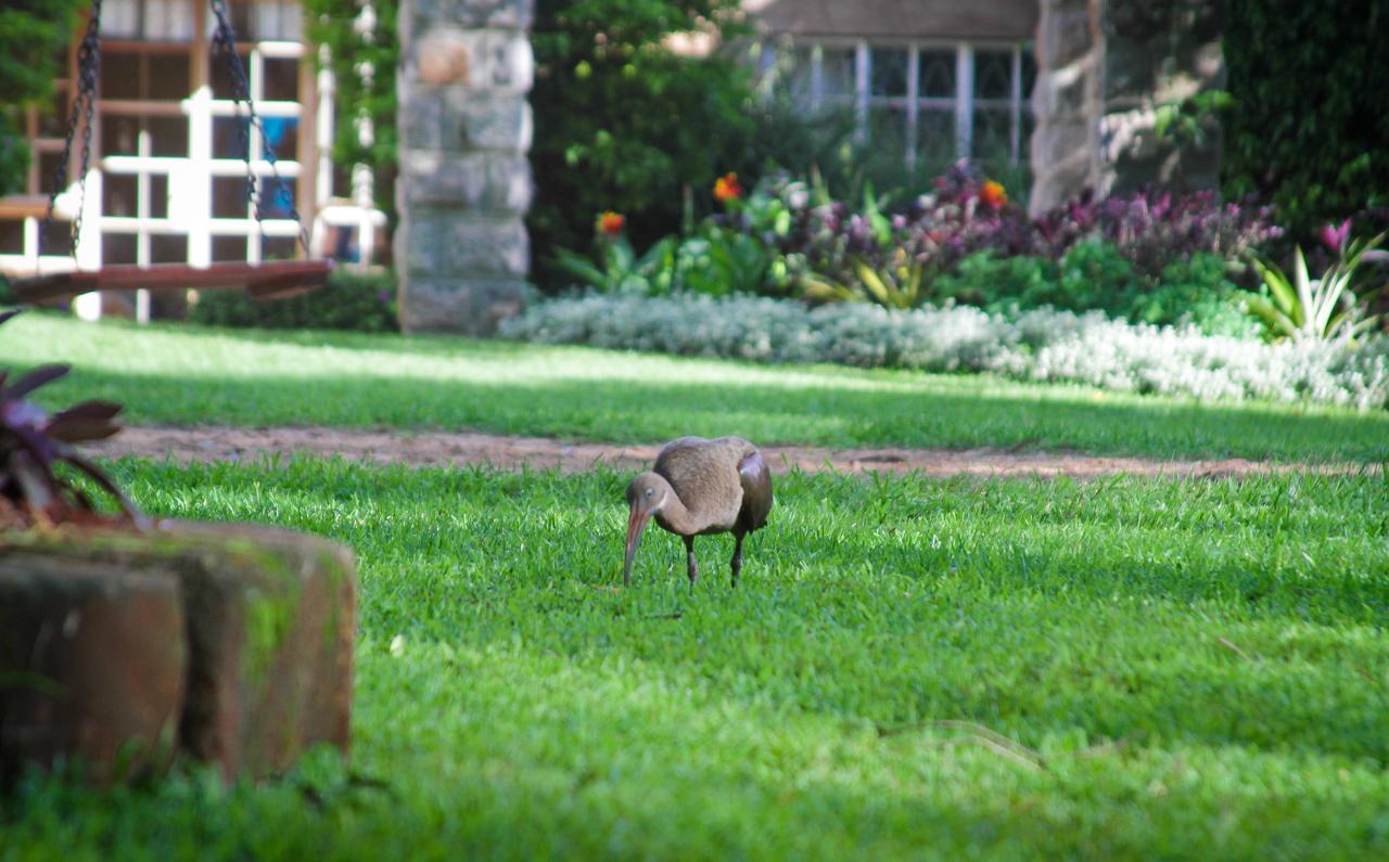 Amani Gardens Inn Nairobi Exterior foto